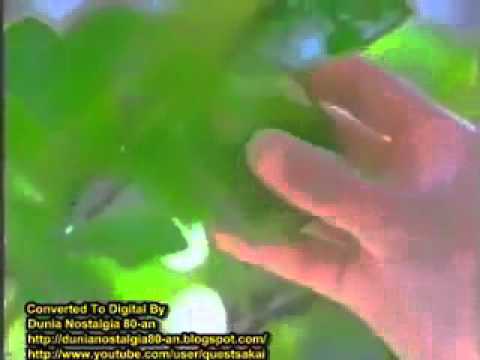 Sunsilk Jeruk Nipis & Rumput Laut 30s - Indonesia, 1997