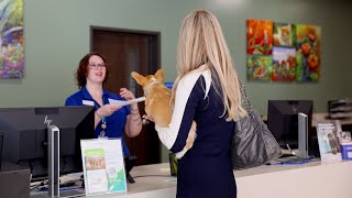 Promotional | VCA Animal Hospital