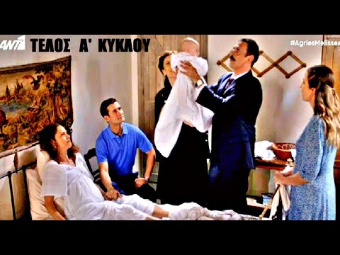 ΑΓΡΙΕΣ ΜΕΛΙΣΣΕΣ - ΤΕΛΕΥΤΑΙΑ ΣΥΓΚΛΟΝΙΣΤΙΚΗ ΣΚΗΝΗ - ΤΕΛΕΥΤΑΙΟ ΕΠΕΙΣΟΔΙΟ| ΣΟΚ~ΟΝΟΜΑΖΟΥΝ ΤΟ ΠΑΙΔΙ ΣΕΡΓΙΟ