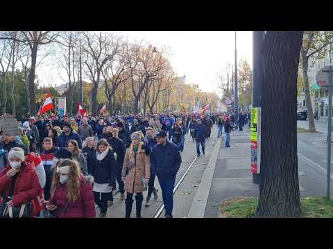 DEMO WIEN 20.11.2021 - nur ein Teil