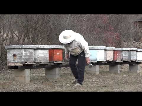 Boja meda ep. 45 15.01.2019. NAJAVA