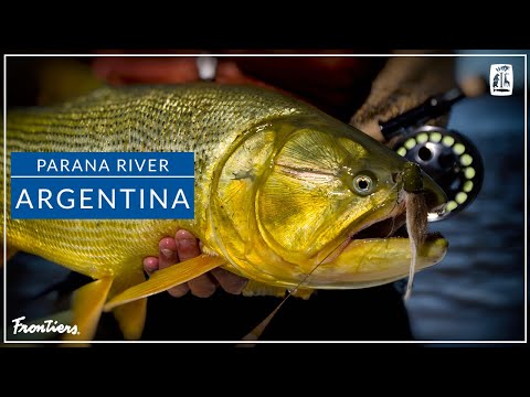 Parana River Outfitters | Argentina