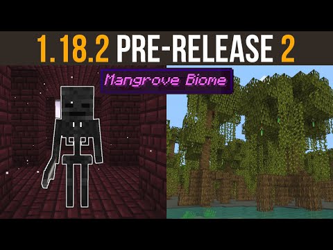 Minecraft 1.18.2 Pre-Release 2 - Mangrove Biome Preview!