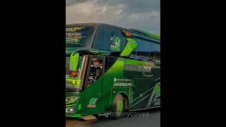 Download lagu Bus telolet, dj basuri 😎 video ini udah nyampe kota mana niehh?? mp3 Download lagu Bus telolet, dj basuri 😎 video ini udah nyampe kota mana niehh?? mp3