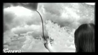 ♔✿ MI VIAJE ✿♔