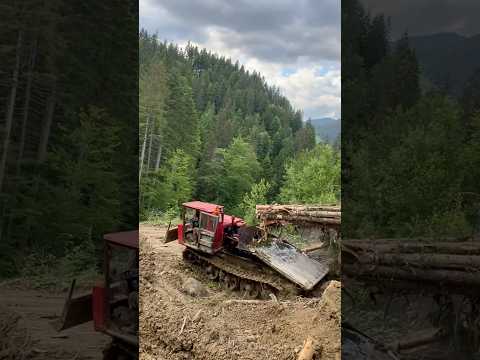 ЛЕСНОЙ МОНСТР🤯 #тракторист #трактор #agriculture #tractor #гусеничный #дт75 #бульдозер