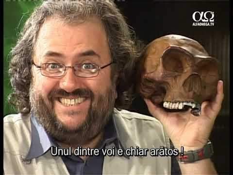 Verdictul științei: Creație 8.1