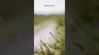 5 familienfreundliche Wanderungen