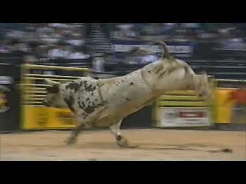 Dagger bucks Royd Doyal - 95 PBR Finals