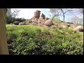 Disney S Animal Kingdom Lion