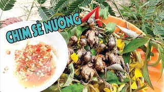 Chim Sẻ Nướng Ngoài Đồng Chấm Muối Ớt Siêu Cay | Xuân Dương Vlogs