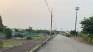 散歩します