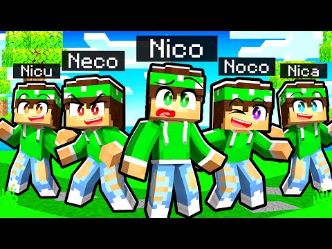 HO BARATO NEL TROVA LE DIFFERENZE su MINECRAFT!