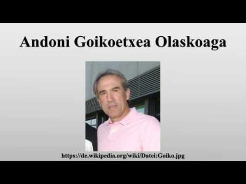 Andoni Goikoetxea Olaskoaga