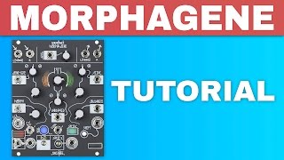 Video thumbnail for MAKE NOISE MORPHAGENE TUTORIAL ~ Eurorack sample module by once upon a synth