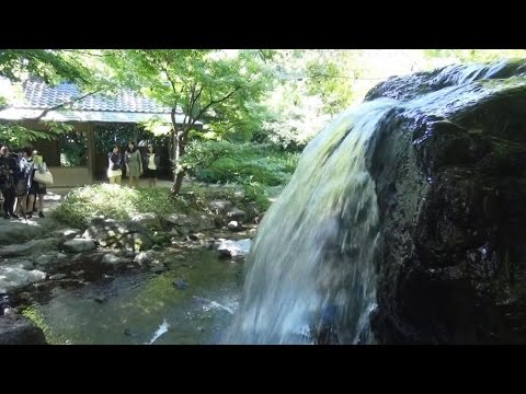 白鳥庭園の魅力～「水の物語」を演出～