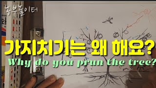 가지치기를 왜 하나요? 전지전정하는 이유? Why are you pruning?