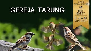 Download lagu MASTER GEREJA TARUNG NONSTOP 2 JAM mp3