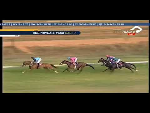 2019.10.20 Breeders Fillies Mile (ZIM) - Lily Blue