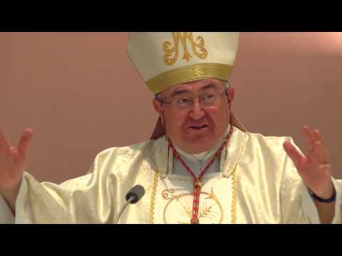 Kardinal Puljić: Danas bi nakon dnevnika svi trebali ići psihijatru