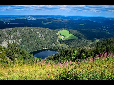 Feldberg - Germany | Top of the Black Forest | Schwarzwald | Feldsee | Virtual Tour