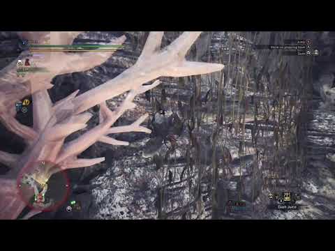 No Hunter Chase Reverse Theme for Namielle :/