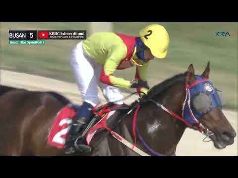 2022.04.24 Busan Ilbo Sprint (Busan Race 5)