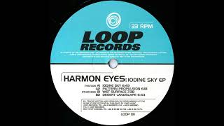 Harmon Eyes - Desert Landscape (1994)
