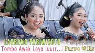 Download lagu LADRANG PARIWISOTO // SINDEN AYU AYU LUUR.! CAMPURSARI PURWO WILIS // AG SOUND SYSTEM mp3