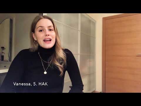 Erfahrungsberichte unserer Schüler/innen