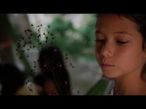 Lumidelic - Wonderland (Video Promo)