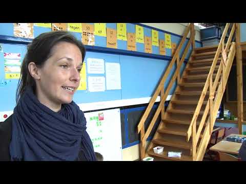 Onderwijsvernieuwing in het basisonderwijs