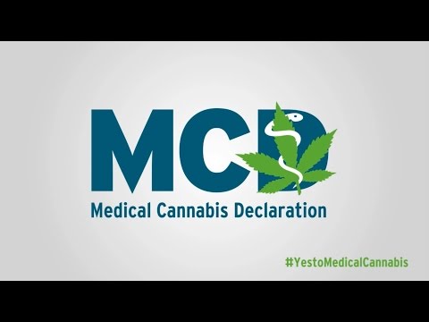 The latest output of the campaign is a video on the mechanism behind cannabis as medicine. Leading scientist from all over the world explain the extensive effect of cannabis on the human body’s endocannabinoid system and how this effect can be used for medical purposes