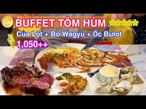 REVISÃO DO SONATUS KINGSCROSS