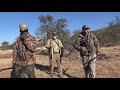 Tarkastad Kudu Hunt