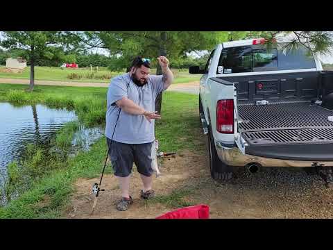 Blue catfish at Zetts...