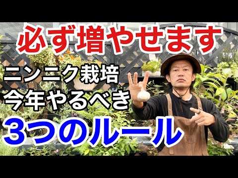 園芸 かなりニンニク