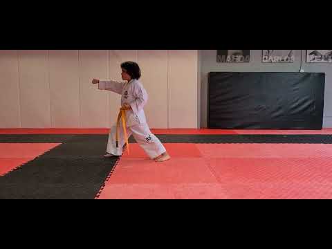 Four Direction Punch (Saju Jirugi) ITF Taekwon-Do