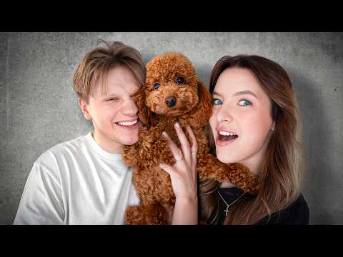 MŪSŲ NAUJAS ŠEIMOS NARYS!