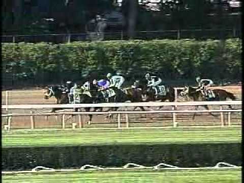 Point Given - 2001 Belmont Stakes