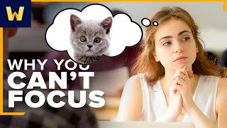 This Is Why You Can't Focus, and Why it Is Dangerous