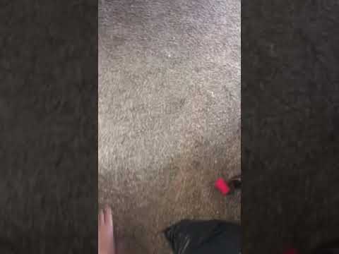 How my peg leg works