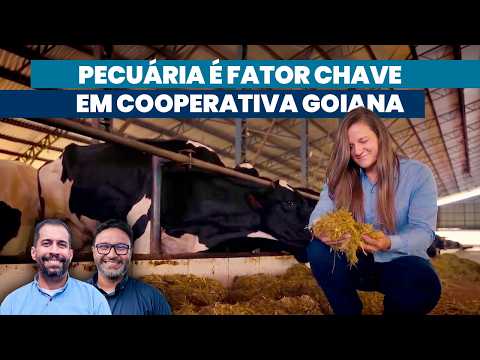 Pecuária bem feita e integrada gera lucro para toda a cadeia | Noticiário Tortuga