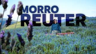 Download lagu The City of Lavender | Morro Reuter [DOCUMENTARY] mp3