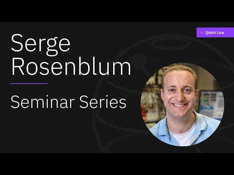 Reversing the Effects of Errors During Quantum Operations - Seminar Series with Serge Rosenblum