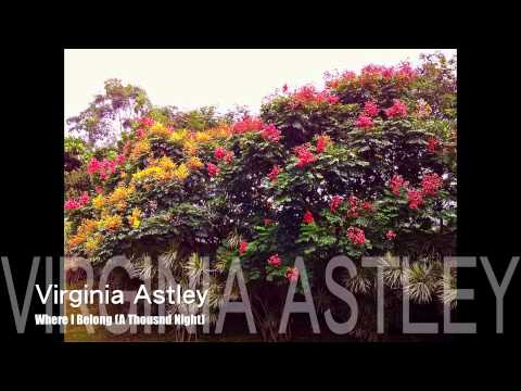 Virginia Astley - Where I Belong (A Thousand Night)