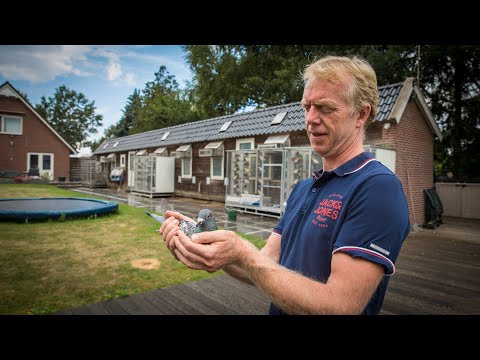 National winners ZLU 2020: Barcelona - Jelle Jellema, Nijverdal