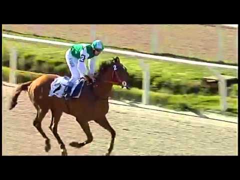 Gran Premio de Honor (URU G2) - 1° Latin Power