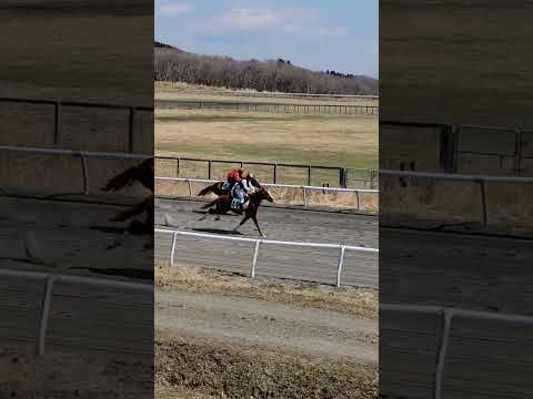 {{itemName}}_video_thumbnail