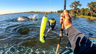 Big Swimbait Gets THUMPED - Fall Bottom Jigging